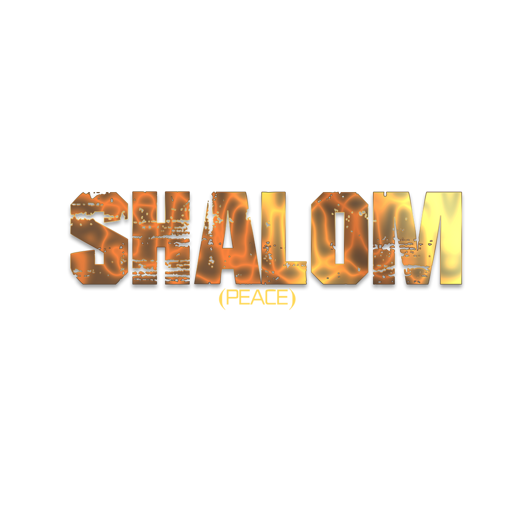 Shalom t-shirt